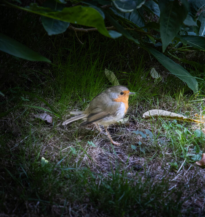 Untitled Untitled